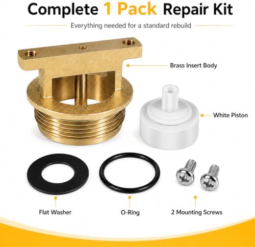 B-0969-RK01 Vacuum Breaker Kit for T&S Brass B-0969, 1/2" NPT - Image 3