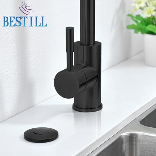 BESTILL Sink Top Garbage Disposal Air Switch Button - Image 5