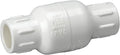 Homewerks 1-Inch PVC Spring Check Valve, Schedule 40 by HomewerksWorldwide