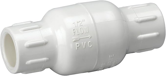 Homewerks 1-Inch PVC Spring Check Valve, Schedule 40 by HomewerksWorldwide