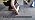Yiech Carpet Protection Film 48" x 200' - Image 7