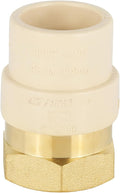 20 Pack EFIELD CPVC Female Transition Adapter, 3/4"Slip x 3/4" FNPT | Female by EFIELDPEXTUBING