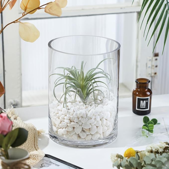6" Wide 8" High Large Hand Blown Sturdy Clear Cylinder Glass Vase, Centerpiece - Image 6