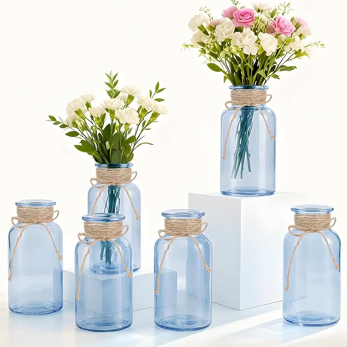 6 Pack Mason Jar Vases for Centerpieces, Wide Mouth Mason Jars by LEYIQU