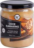 Pumpkin Spice Odor Eliminating Highly Fragranced Candle by DiannesCustomCandles