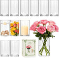 12pcs Thick Glass Cylinder Vase, 6 Inch Clear Glass Flower Vases | Floating by Brajttt