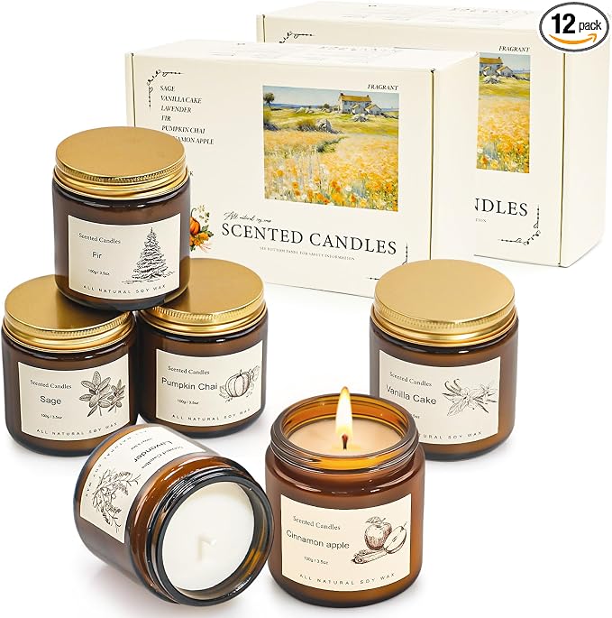 Scented Candles Gift Set for Home, 12 Pack Aromatherapy Soy Candles, 6 by FEIBAO