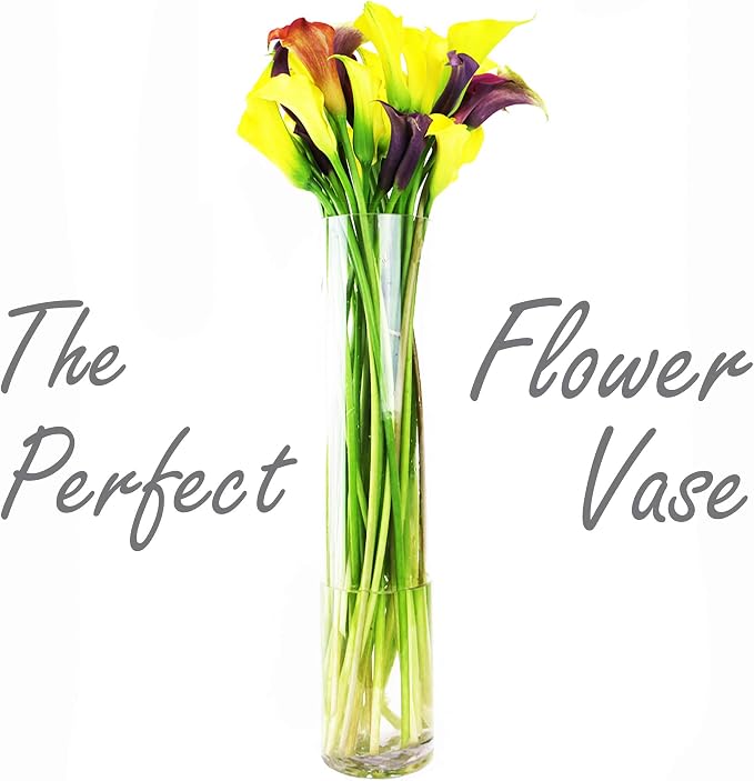 CYS Excel Clear Glass Cylinder Vase | Multiple Size Choices Glass Flower Vase - Image 5