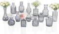 Clear Glass Bud Vase Set of 14 Pcs, Small Bud Vases in Bulk, Glass Crystal by JXINDUJU