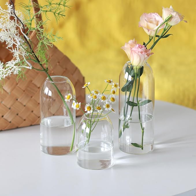 Etolies Glass Bud Vases in Bulk Set of 12, Modern Cylinder Glass Vase - Image 7