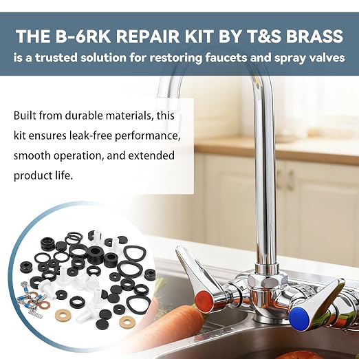 B-6RK Repair Kit for T&S Brass Faucet Cartridges & Spray Valves - Image 5