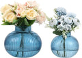 Blue Glass Vases for Tulips, Flower Vases for Bouquet, Ribbed Glass Vase for by YANWE
