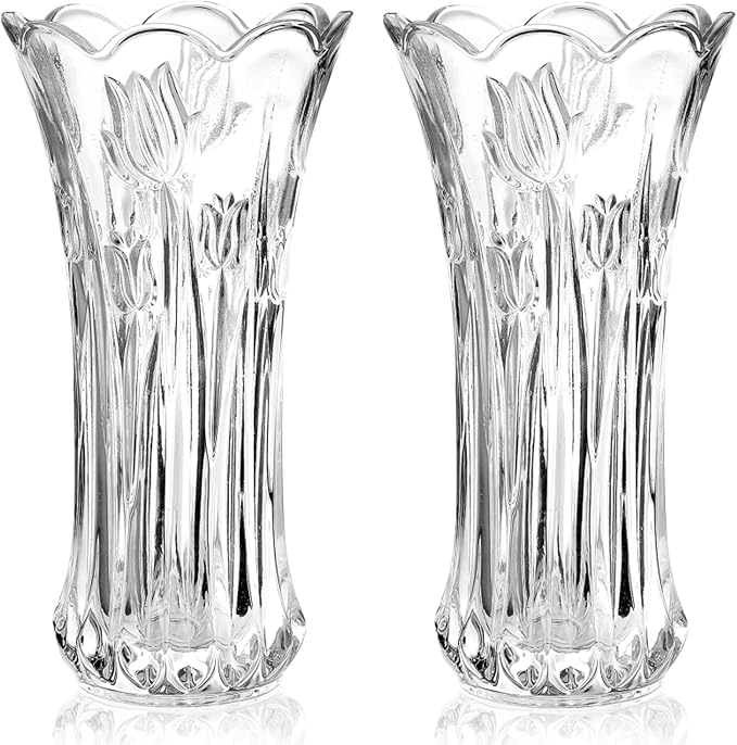 Dicunoy Set of 2 Glass Flower Vase, 9.5" Large Flower Vases by Dicunoy