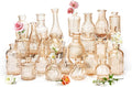 Clear Amber Gold Glass Bud Vase Set of 24 Pcs, Small Bud Vases in Bulk by JXINDUJU