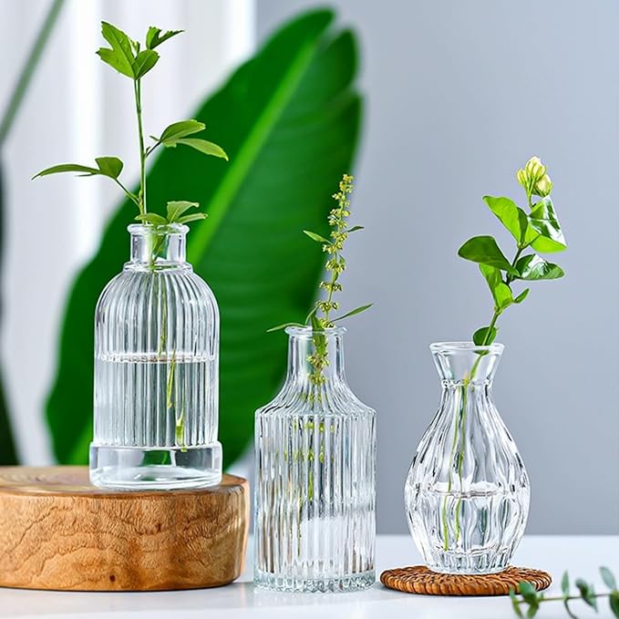 Clear Flower Vase Set, Glass Bud Vase in Bulk Set of 8 | Artistic and Cultural - Image 5