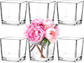 6 Pack Square Glass Vases 5" x5" x 5", Wedding Party Home Decor by Comrzor