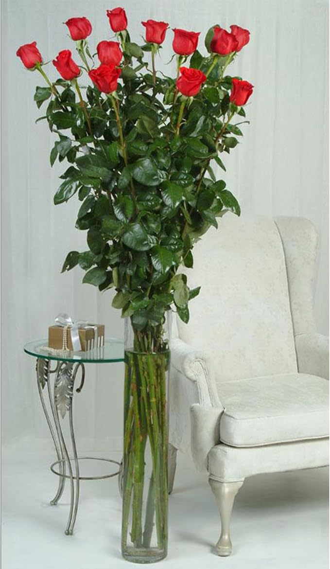 WGVI Quality Thick Weighted Tall Clear Cylinder Glass Vases, Flower Arrangement - Image 5