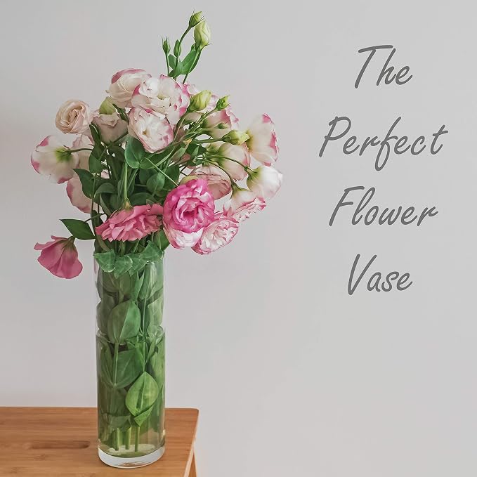 CYS Excel Tall Clear Glass Cylinder Vase | Multiple Size Choices Glass Flower - Image 6
