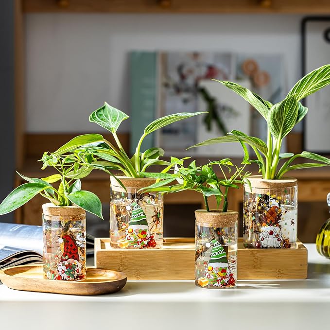 Christmas Vase, Christmas Themed Propagation Stations, Glass Propagation Vases - Image 5
