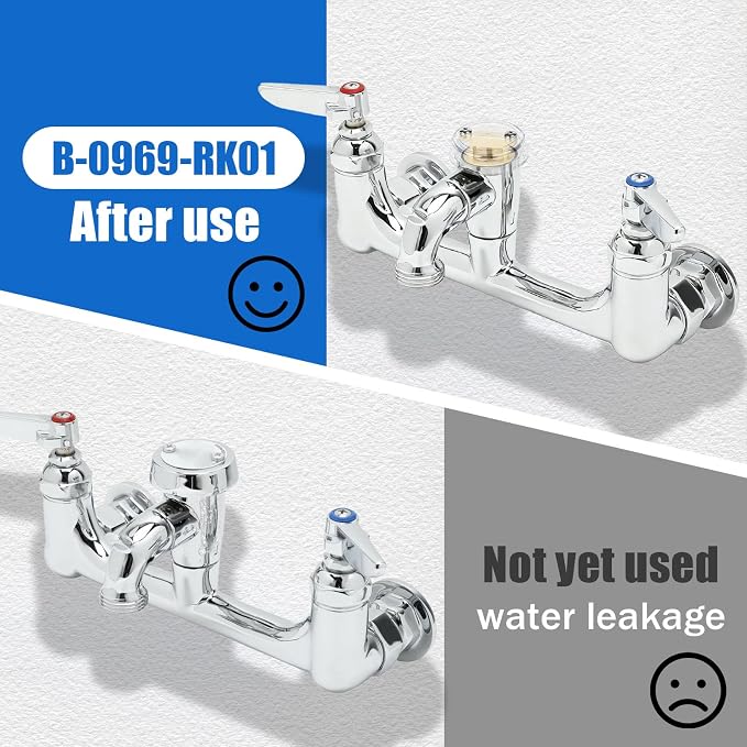 B-0969-RK01 Repair kit for T&S Brass 1/2" NPT Plumbing Vacuum Breaker -2 PK | - Image 5