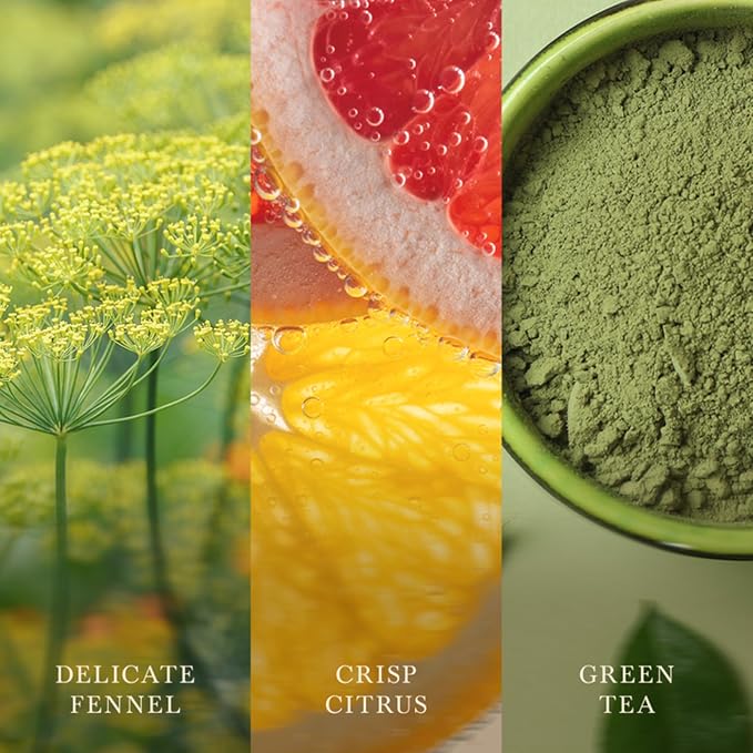 Woodwick Matcha Zest Medium Hourglass Candle - Image 3