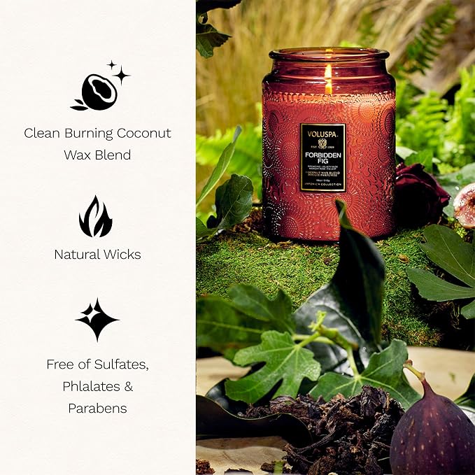 Voluspa Forbidden Fig Large Scented Candle Jar 18 Oz, 100 Hr Burn | Coconut Wax - Image 4