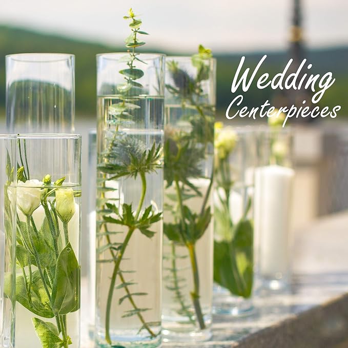 CYS Excel Clear Glass Cylinder Vase | Multiple Size Choices Glass Flower Vase - Image 7