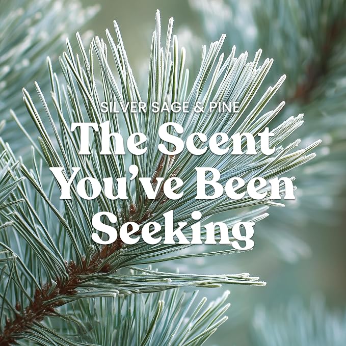 Yankee Candle Silver Sage & Pine, Christmas Scented Candle, 22oz Large Jar - Image 2